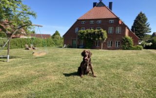 Hand beim Seehof Warnow